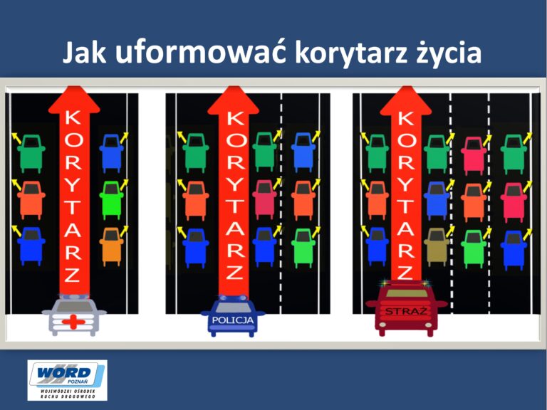 korytarz życia 2019